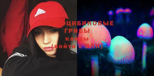 ПСИЛОЦИБИНОВЫЕ ГРИБЫ Волосово