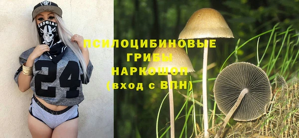 дмт Володарск