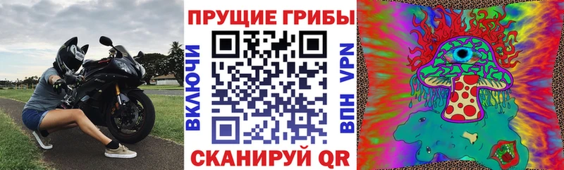 ссылка на мегу Исилькуль Галлюциногенные грибы мухоморы
